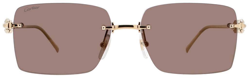 Cartier Ct0545s Sunglasses