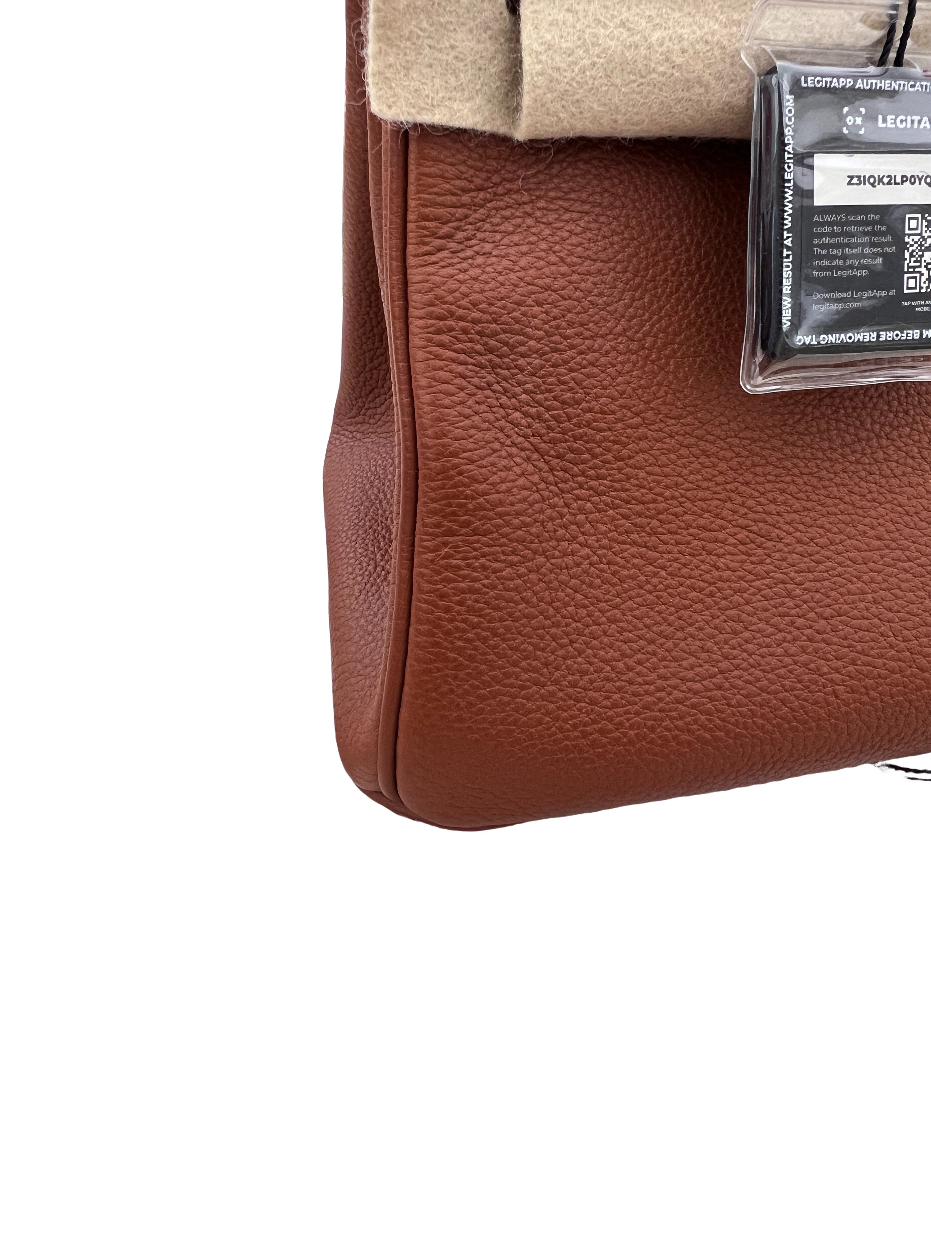 Hermès Birkin 25 Togo Bag Silver Hardware
