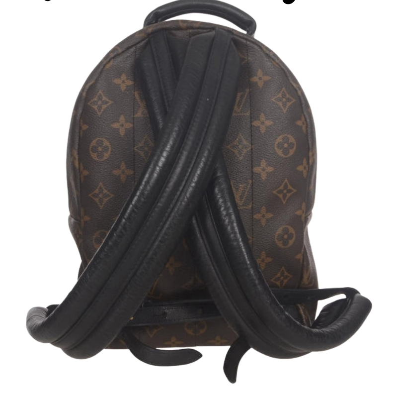 Louis Vuitton Reverse Monogram Palm Springs Backpack