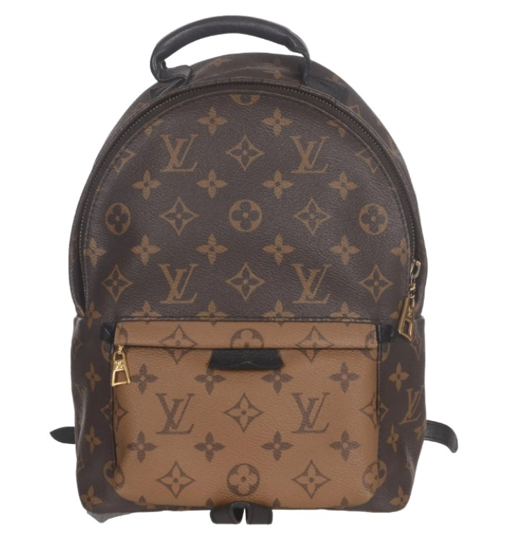 Louis Vuitton Reverse Monogram Palm Springs Backpack